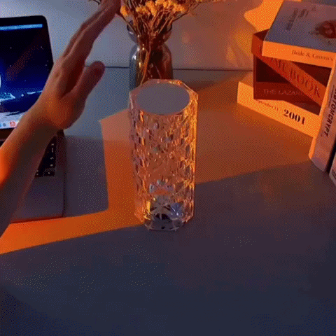 Crystal Rose Diamond 16 Color RGB Changing Mode LED Night Lights - USB Remote Night Lamp